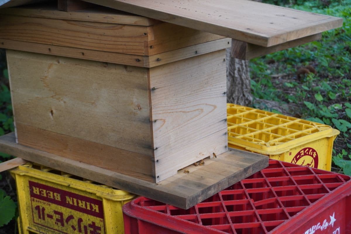 【養蜂】長野に蜂を購入しにいきました【思い出】
