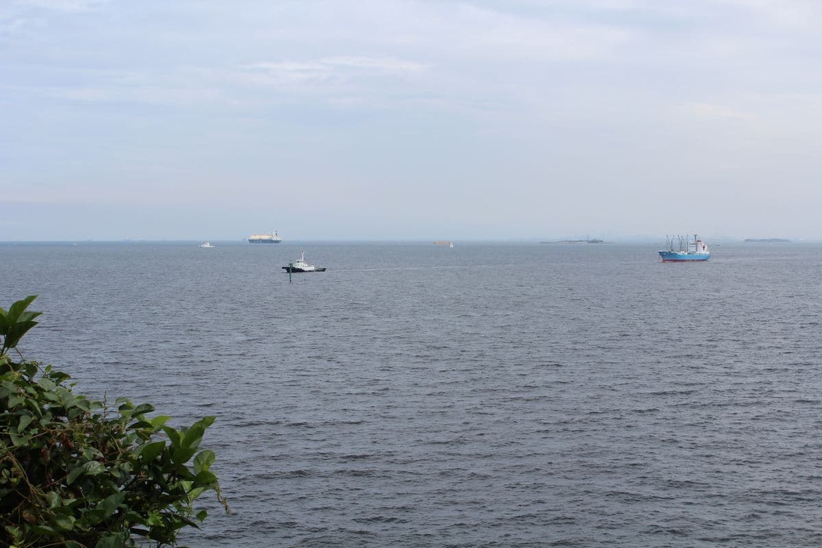 【情報収集】読書することについて考える